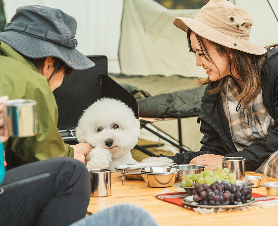 Qualification System